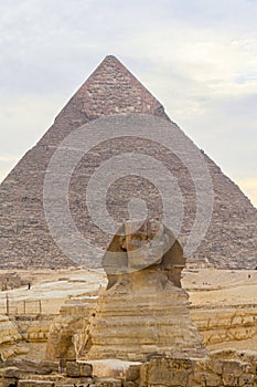 Sphinx sculpture and the Cheops pyramid in Giza Egypt