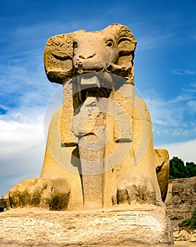 Sphinx statue in the Karnak temple photo