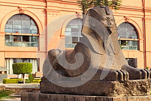 Sphinx statue near entrance in Museum of Egyptian Antiquities, known commonly as the Egyptian Museum or Museum of Cairo, in Cairo