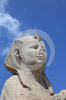 Sphinx statue of Pompey's pillar