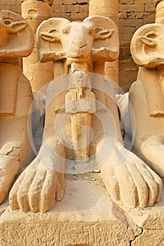 Sphinx statue in the temple of Karnak