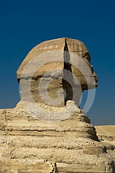 Sphinx with view  of the Great Pyramids of Giza, Cairo, Egypt