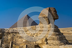 Sphinx with view  of the Great Pyramids of Giza, Cairo, Egypt