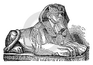 Sphinx is a zoomorphic mythological figure, vintage engraving photo