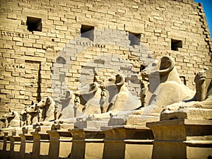 Sphinxes avenue at Karnak Temple (Luxor, Egypt)