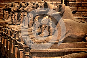 Sphinxes avenue at Karnak Temple (Luxor, Egypt) photo