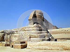 Sphinxes of Giza Egypt Africa photo