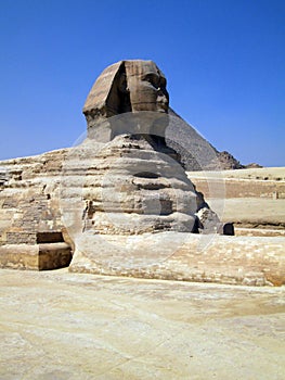 Sphinxes of Giza Egypt Africa photo