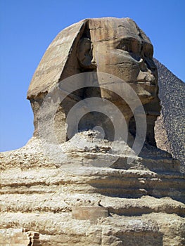 Sphinxes of Giza Egypt photo