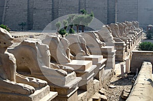 Sphinxes in Karnak, Egypt