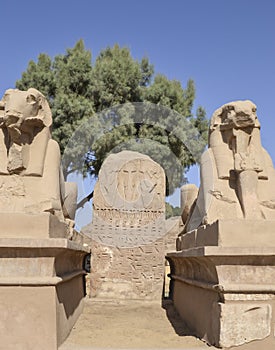 Sphinxes at Karnak temple in Luxor
