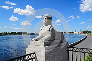 Sphinxes in St. Petersburg photo