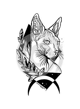 Cat portrait. Hand drawn tattoo illustration.Sphynx cat.
