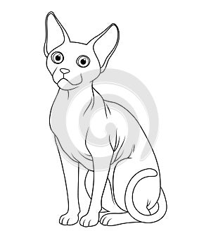 Sphynx Cat Cartoon Animal Illustration BW
