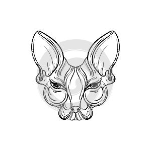 Sphynx cat face vector illustration. Tattoo template in monochrome graphic style. Vintage mascot design