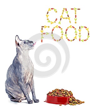 Sphynx cat and the inscription of the feed 'cat food'