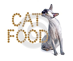 Sphynx cat and the inscription of the feed 'cat food'