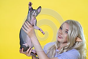 Sphynx kitten with raised paw sits in hands of young woman cosplay elf on yellow background