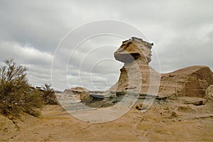 The Sphynx Nature reserve Ischigualasto