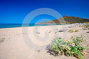 Spiaggia di San Nicolo and Spiaggia di Portixeddu beach in San Nicolo town, Costa Verde, Sardinia, Italy photo