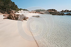 Spiaggia Rosa (Pink Beach) photo