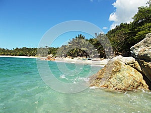 spiaggia tropicale con palme e acqua celeste e cristallina