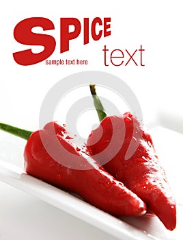 Spice chillies background