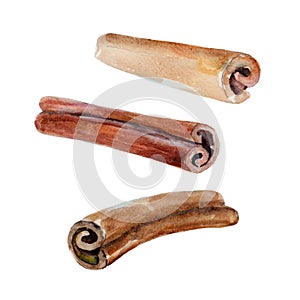 The spice cinnamon sticks isolated on white background, watercolor illustration set.