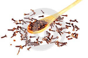 Spice clove in spoon isolated