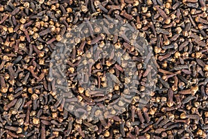 Spice cloves