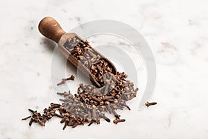 Spice cloves on marble background with copy space
