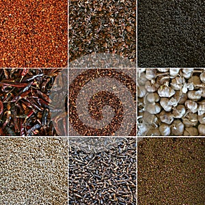 Spice.Collage