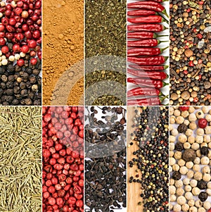 Spice Collage. Various Pepper Corns Collection Mix