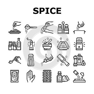 Spice Condiment Herb Collection Icons Set Vector