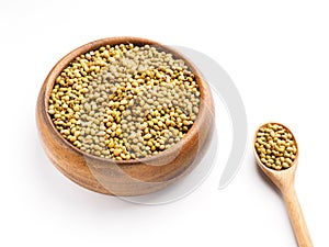 Spice coriander Coriandrum sativum seeds in wooden bowl and spoon isolated on white background