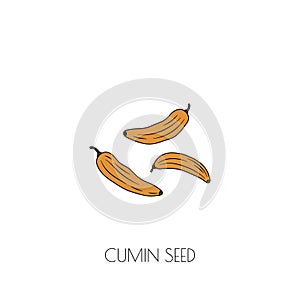 Cumin seeds icon photo