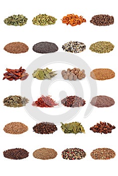 Spice and Herb Collection