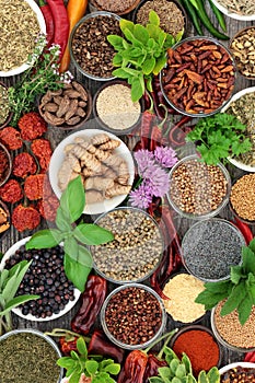 Spice and Herb Collection