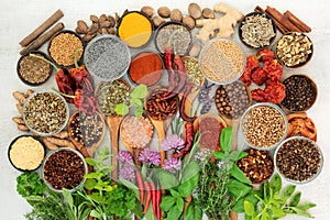 Spice and Herb Seasoning