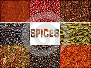 Spice and herbs background, collage of condiments