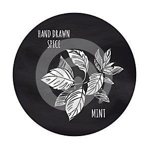 Spice mint icon on blackboard