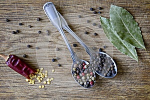 Spice mix and peppercorns in metal spoons, one broken pod of hot red pepper with seeds and dried bay leafs