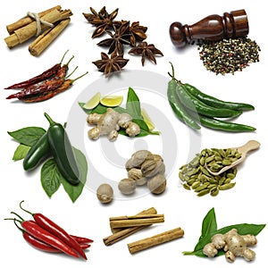 Spice Sampler