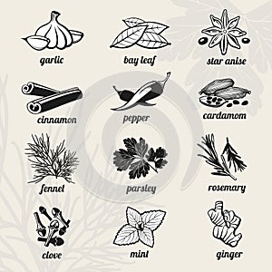 Spice vector icons set