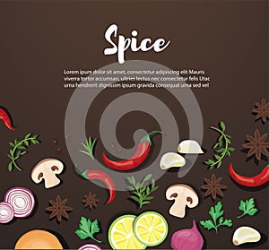 spice and vegetable foods background and space for write