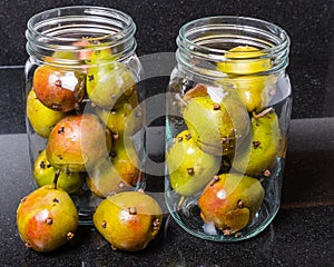 Spiced seckel pears being preserved