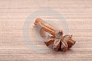 Spicery cinnamon and anisetree on table.
