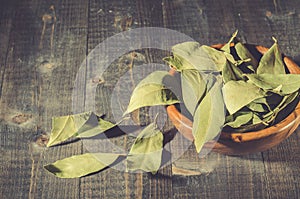 spices of bay leaf in rural style/ bay leaf on a dark wooden surface. Copy space
