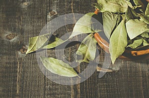 spices of bay leaf in rural style/bay leaf on a dark wooden surface. Top view