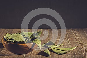 Spices of bay leaf in rural style/bay leaf in a wooden bowl on a wooden background. Copy space